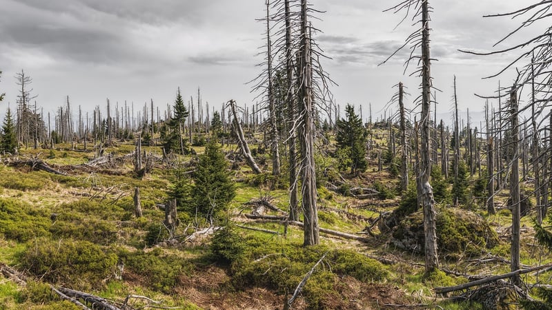 Environmental Protection